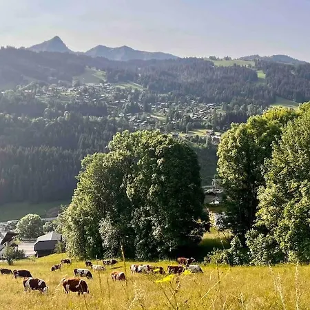 Beautiful Located Mt Chery Mountain Διαμέρισμα