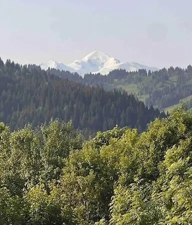 Beautiful Located Mt Chery Mountain Διαμέρισμα Les Gets