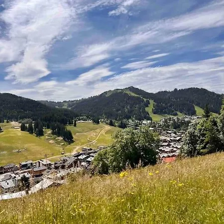 Beautiful Located Mt Chery Mountain * Les Gets